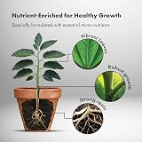 GreenBrokers C1001 Organic All Purpose Potting Compost 10L Peat Free view 4