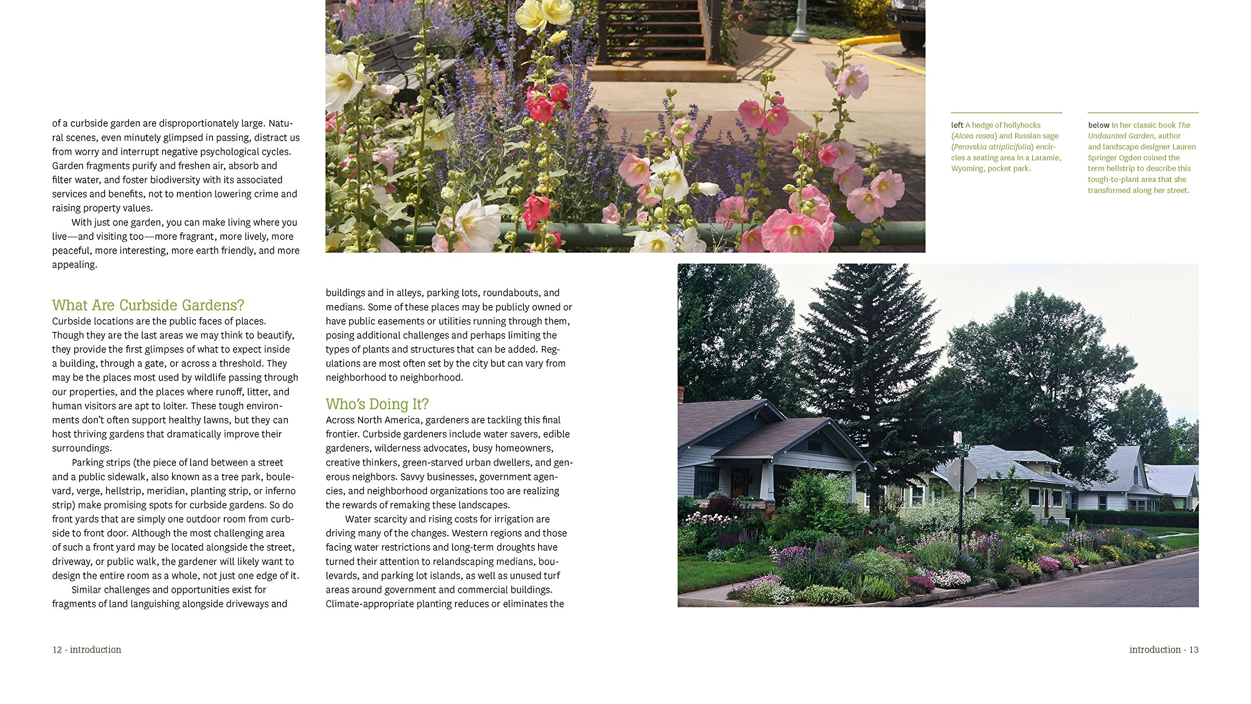 Application For Parking On Residential Front Yards And Boulevards