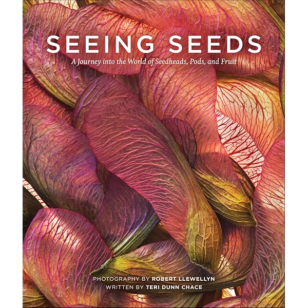 Amazon.com: The Hidden Beauty of Seeds & Fruits: The Botanical