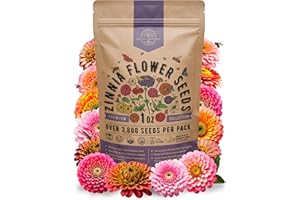 ORGANO REPUBLIC Zinnia Seeds Pack 1 oz - Over 3,800 Non-GMO Heirloom Zinnia Seeds for Planting, Annual Flowers in Individual Seed Packet, Flower Seed for Planting Home Garden Indoor & Outdoor Gardening