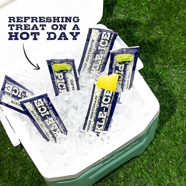 VAN HOLTEN’S PICKLES – PICKLE-ICE FREEZE POPS – 24 PACK