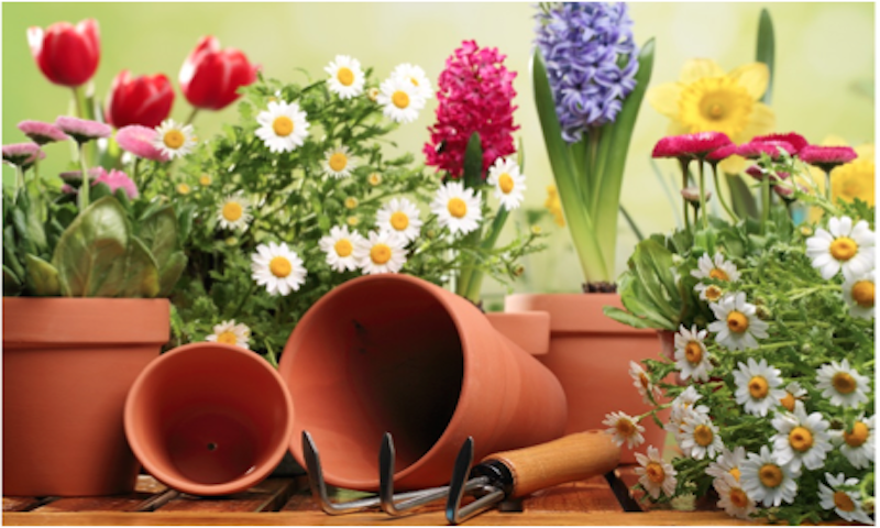 Extreme Composting A Step-by-Step Guide for Beginners