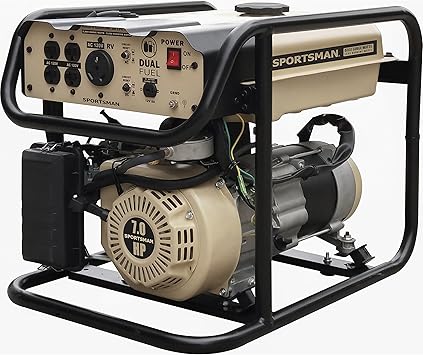 Buffalo Tools GEN4000DF-SS 4000W Dual 