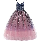 Glamulice Princess Sparkle Tulle Dress Flower Girl Little/Big Girls Wedding Bridesmaid Dresses Pageant Party Ball Gown