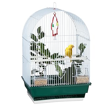 Cage à Oiseaux Avec Base Pour Oiseaux Exotiquesperruches