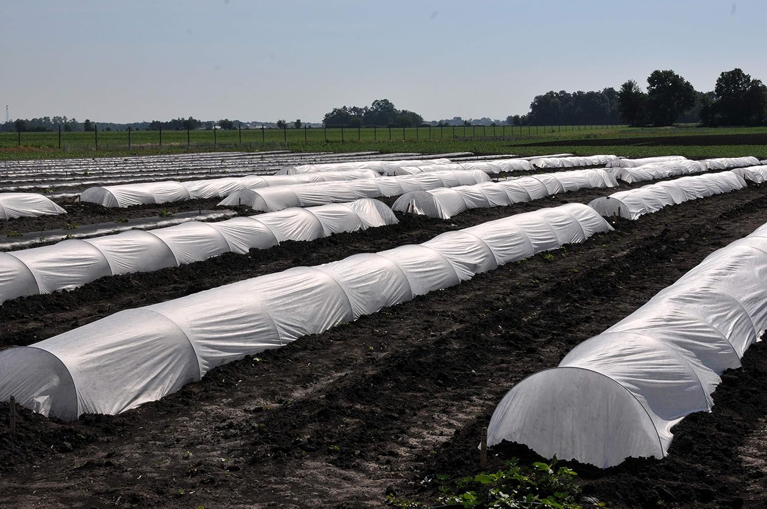 Ecover - Cubiertas de Fila Flotante para protección contra la ...