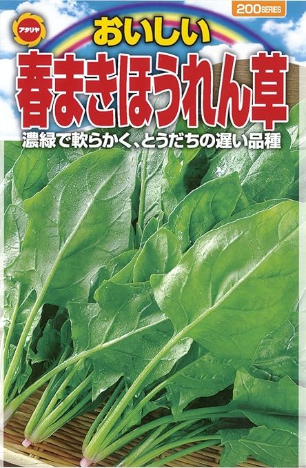 Amazon アタリヤ農園 ガーデニング用品 種 おいしい 春まきほうれん草 プール 屋外サウナ