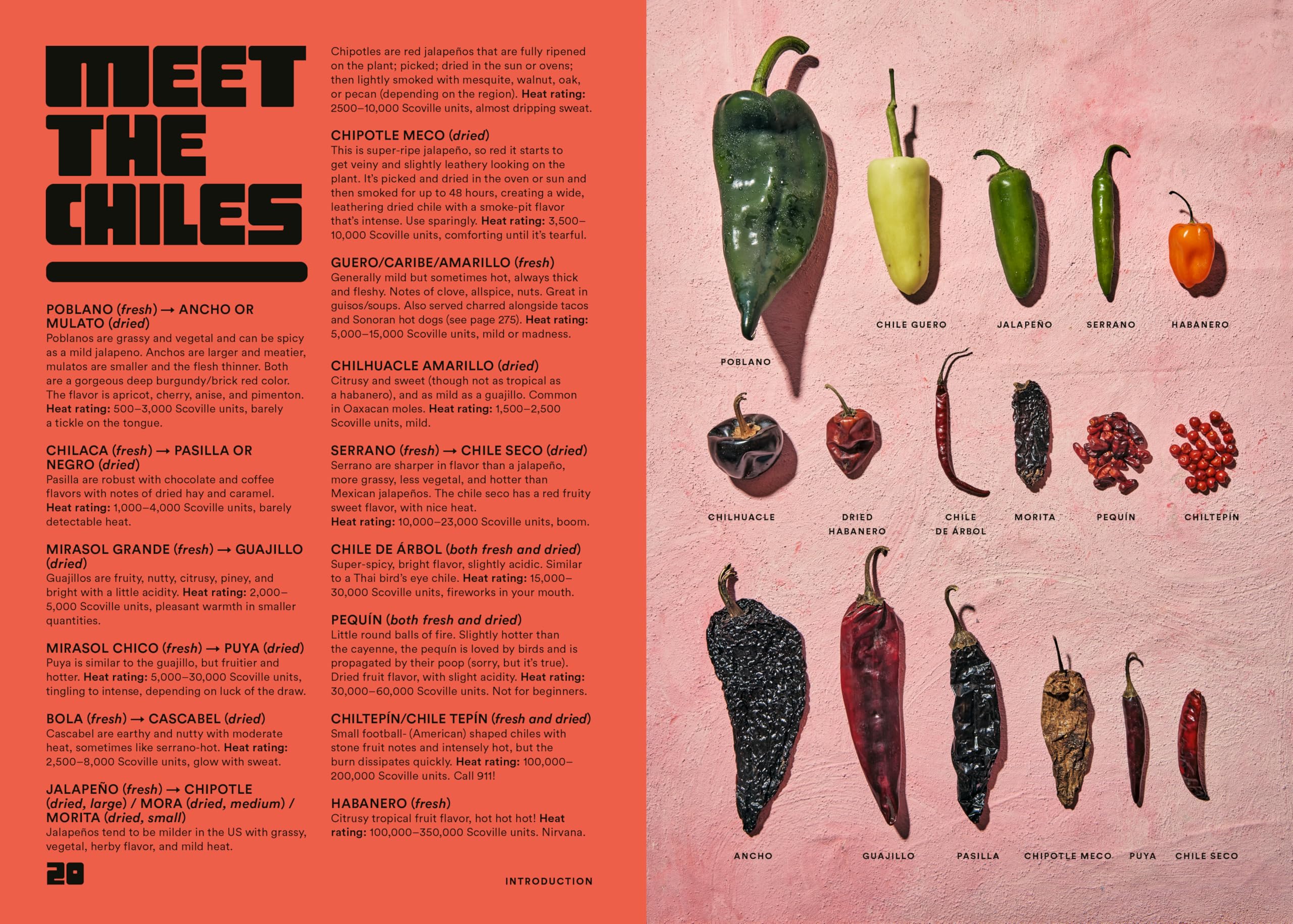 Salsa Daddy: A Cookbook: Dip Your Way into Mexican Cooking Salsa Daddy: A Cookbook: Dip Your Way into Mexican Cooking Hardcover Kindle Spiral-bound