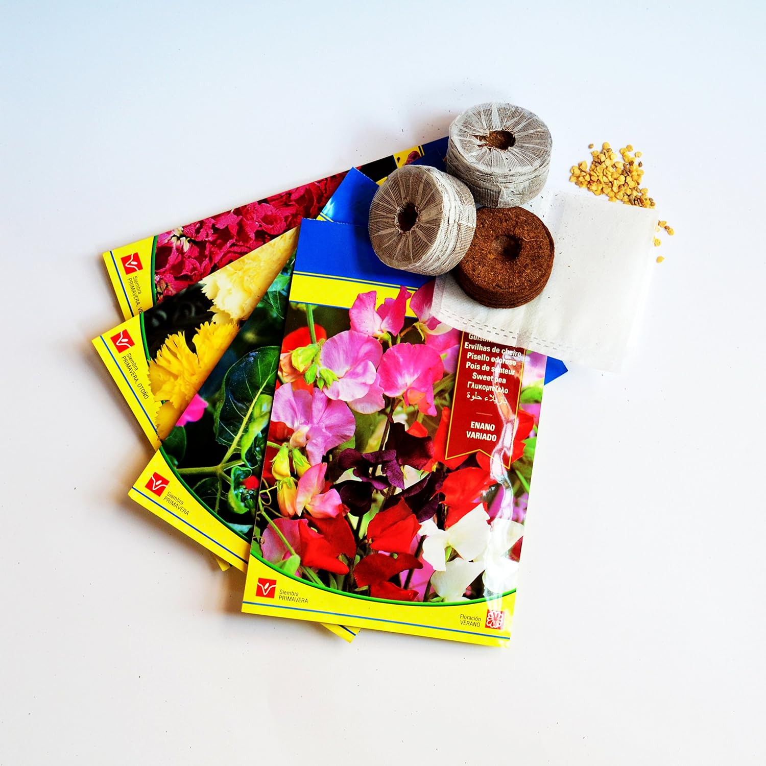 Kit de semillas 4 tipos de flores para huerto urbano: Amazon.es ...
