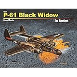 P-61 Black Widow In Action