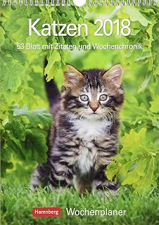 Katzen Kalender 2019 Wochenplaner 53 Blatt Mit Zitaten Und