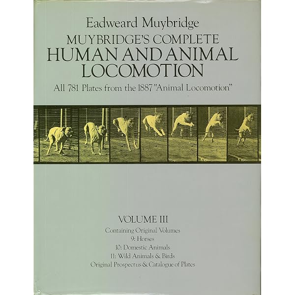 Eadweard Muybridge: The Human and Animal Locomotion Photographs