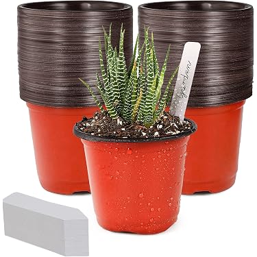 4 plant pot 4 inch Dipped and Dotted Cylinder Planter with Saucer – Tiny Badger Ceramics main image 0