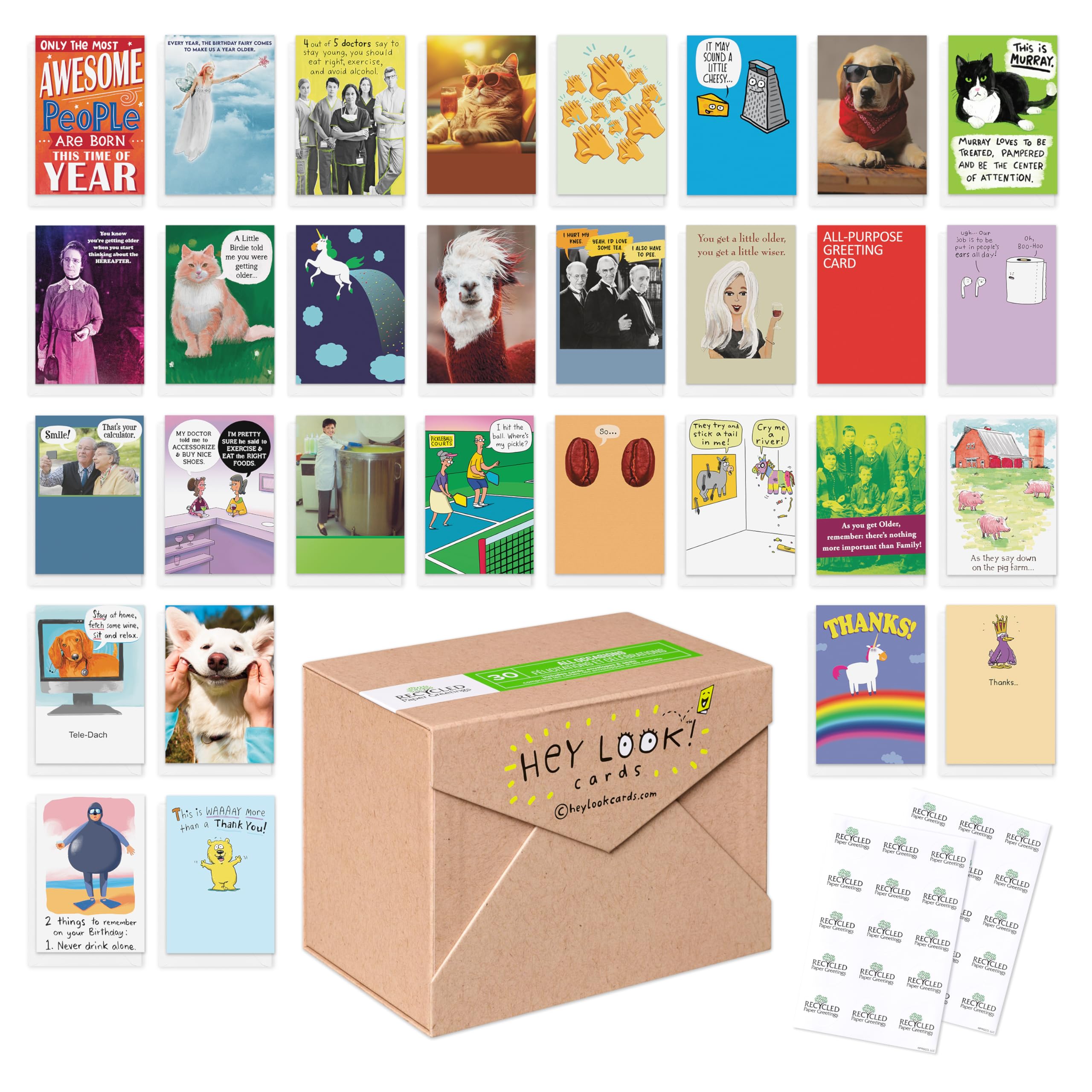 Photo 1 of Recycled Paper Greetings Funny All Occasion Card Assortment with Envelopes, Seals, and Storage Box by Hey Look!