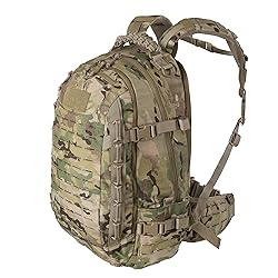Direct Action Dragon Egg Enlarged Crye MultiCam 30