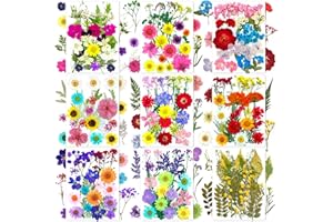 MIKIYA 192Pcs Dried Pressed Flowers for Resin, Assorted Real Natural Bulk Dry Floral Leaves for DIY Art Crafts, Epoxy Molds, Jewelry, Soap, Candle Making, Nails Decors