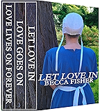 Courting Cate The Courtships Of Lancaster County Book 1