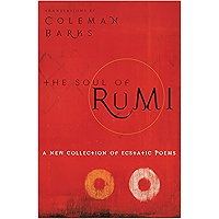 The Soul of Rumi: A New Collection of Ecstatic Poems book cover