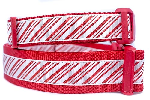 candy cane dog collar