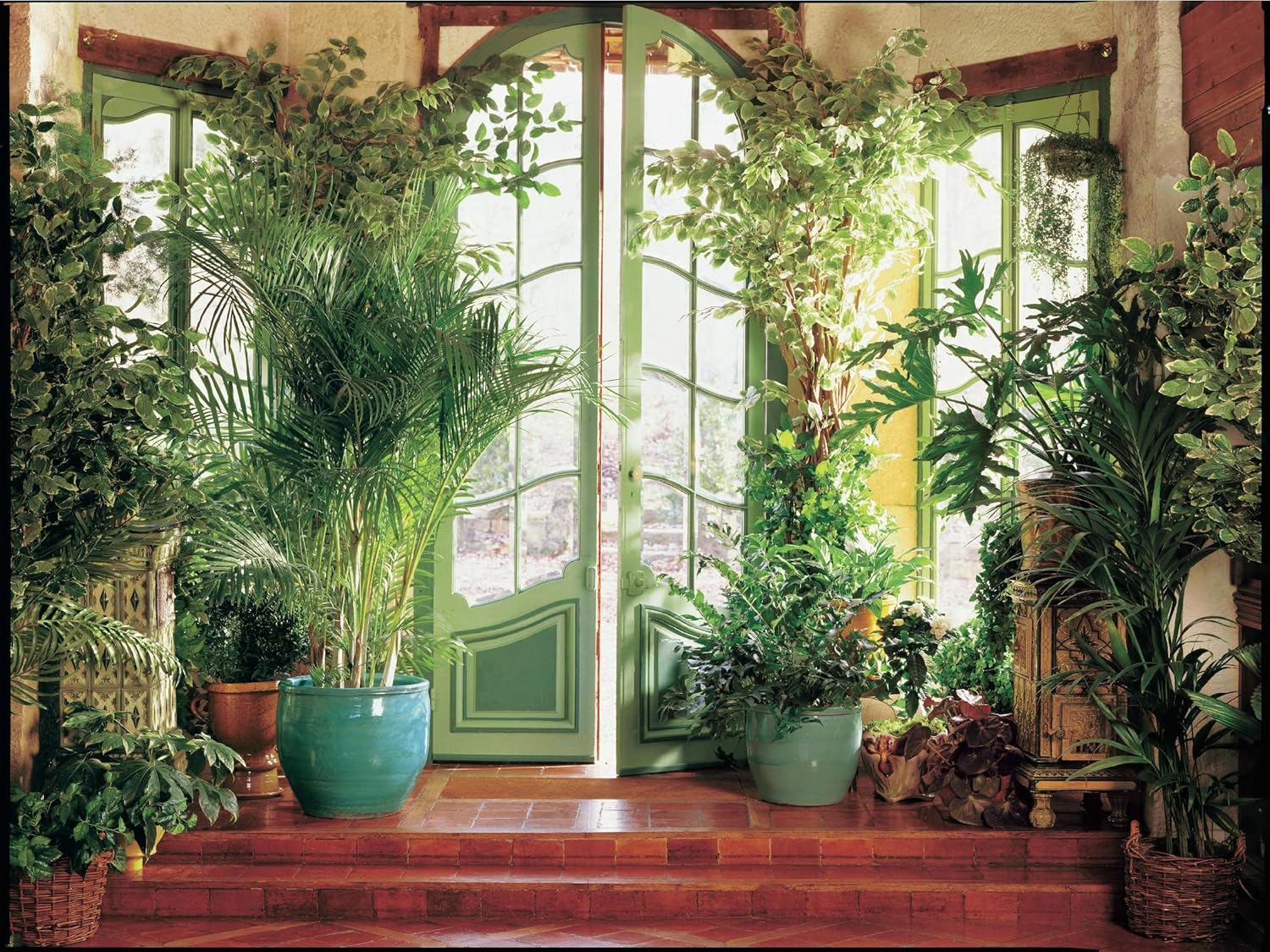 Scarica Gratis Images Papier Peint Photo Mural Intisse 300v Jardin D Hiver 350x260 Cm dernière par