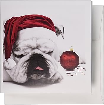 santa bulldog