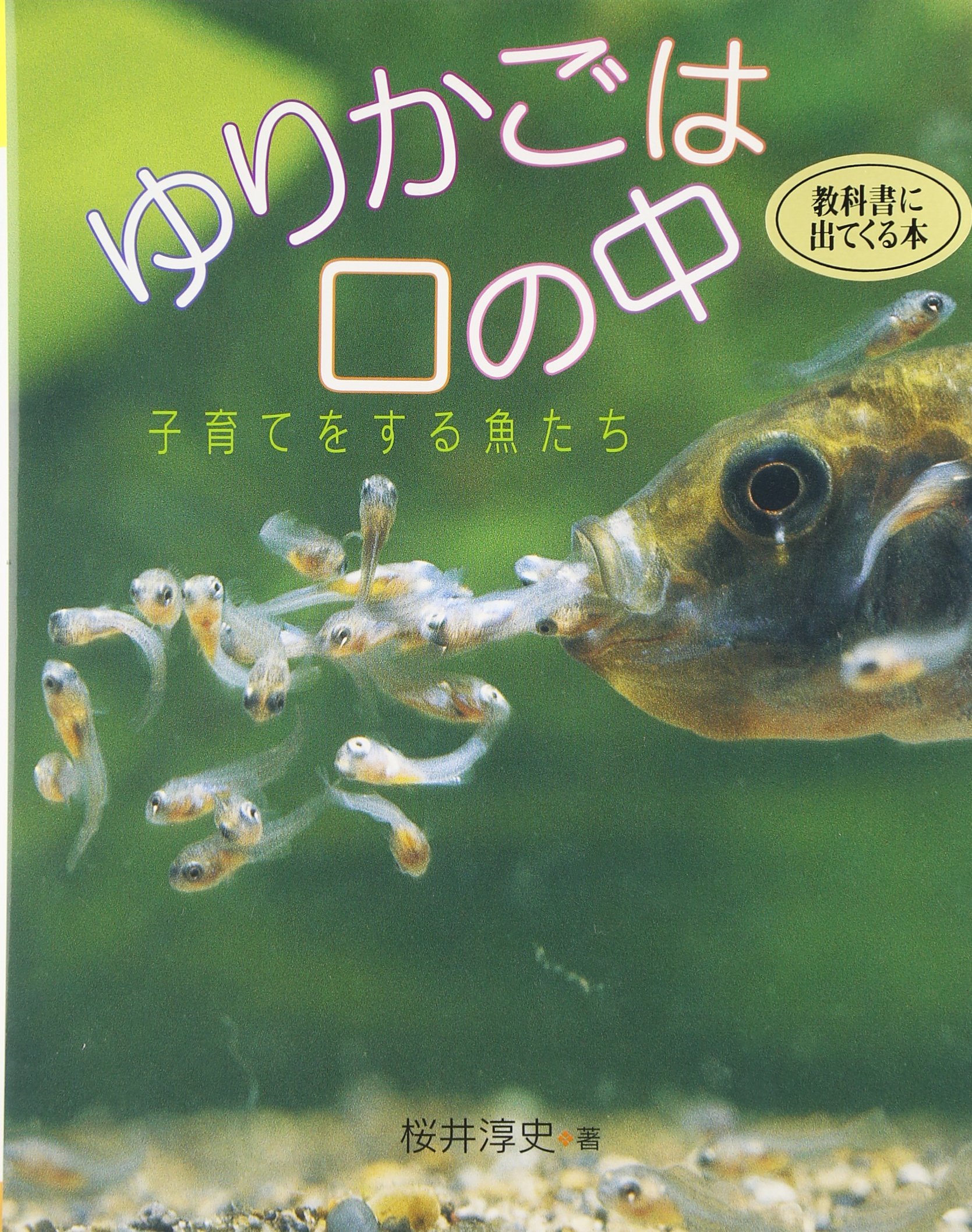 ゆりかごは口の中 子育てをする魚たち 地球ふしぎはっけんシリーズ 桜井 淳史 保宏 岩崎 本 通販 Amazon