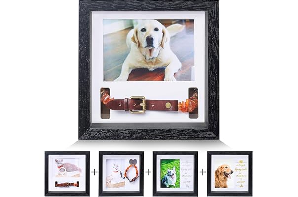 memory items for dogs