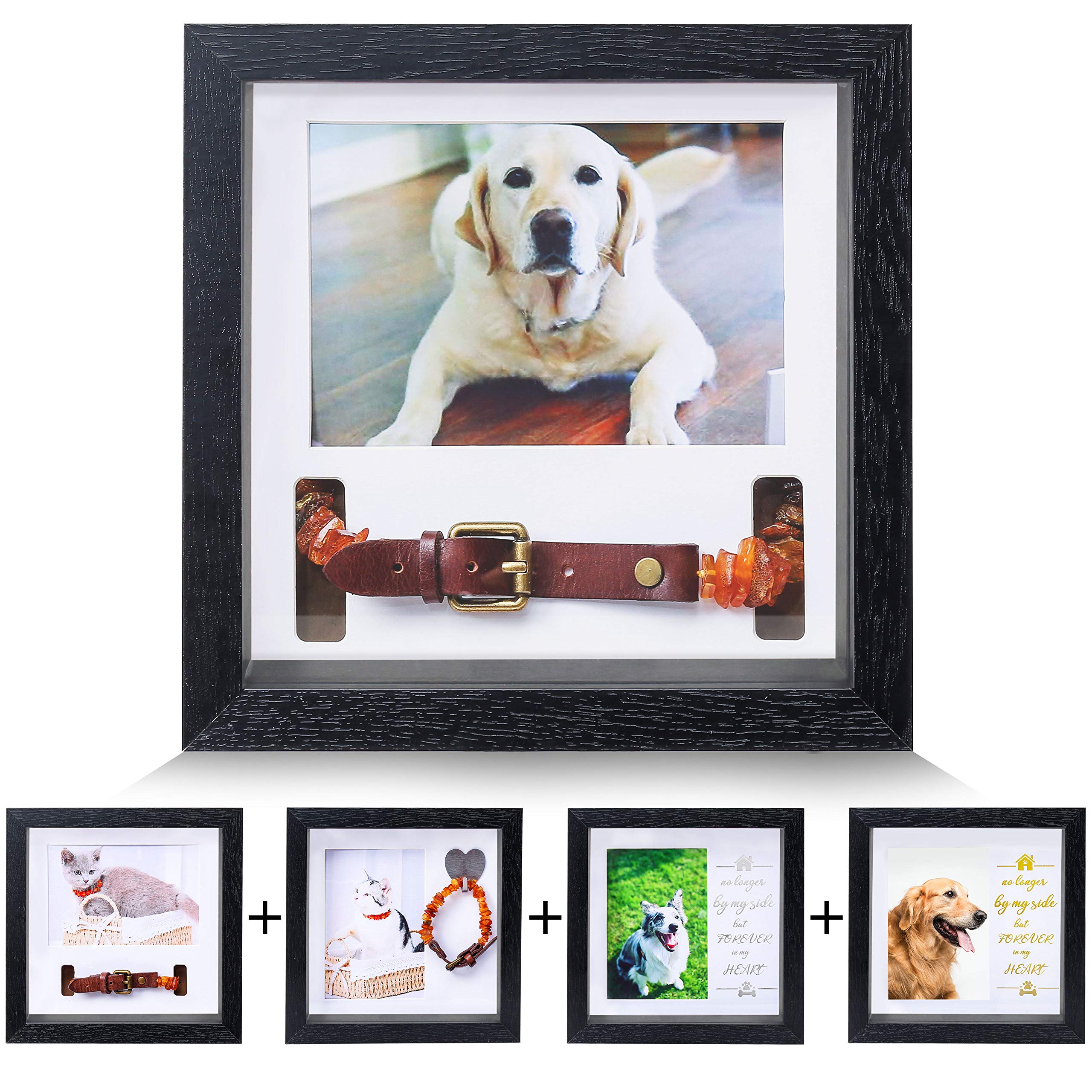 Photo 1 of KCRasan Pet Picture Frame - Memorial Frame for Loss of Dog or Cat - Pet Collar Frame Remembrance Sympathy Keepsake