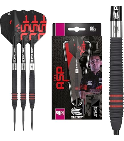 Amazon.com: Swiss Point Darts