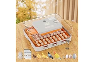 Ouluu 56 Egg Incubator, Automatic Turning & Smart Temp/Humidity Control, Built-in Candler, Plus Hatching Guide – for Chicken, Duck, Quail, Goose, Parrot, Pigeon, Ideal for Farm, Home, Lab, Classroom