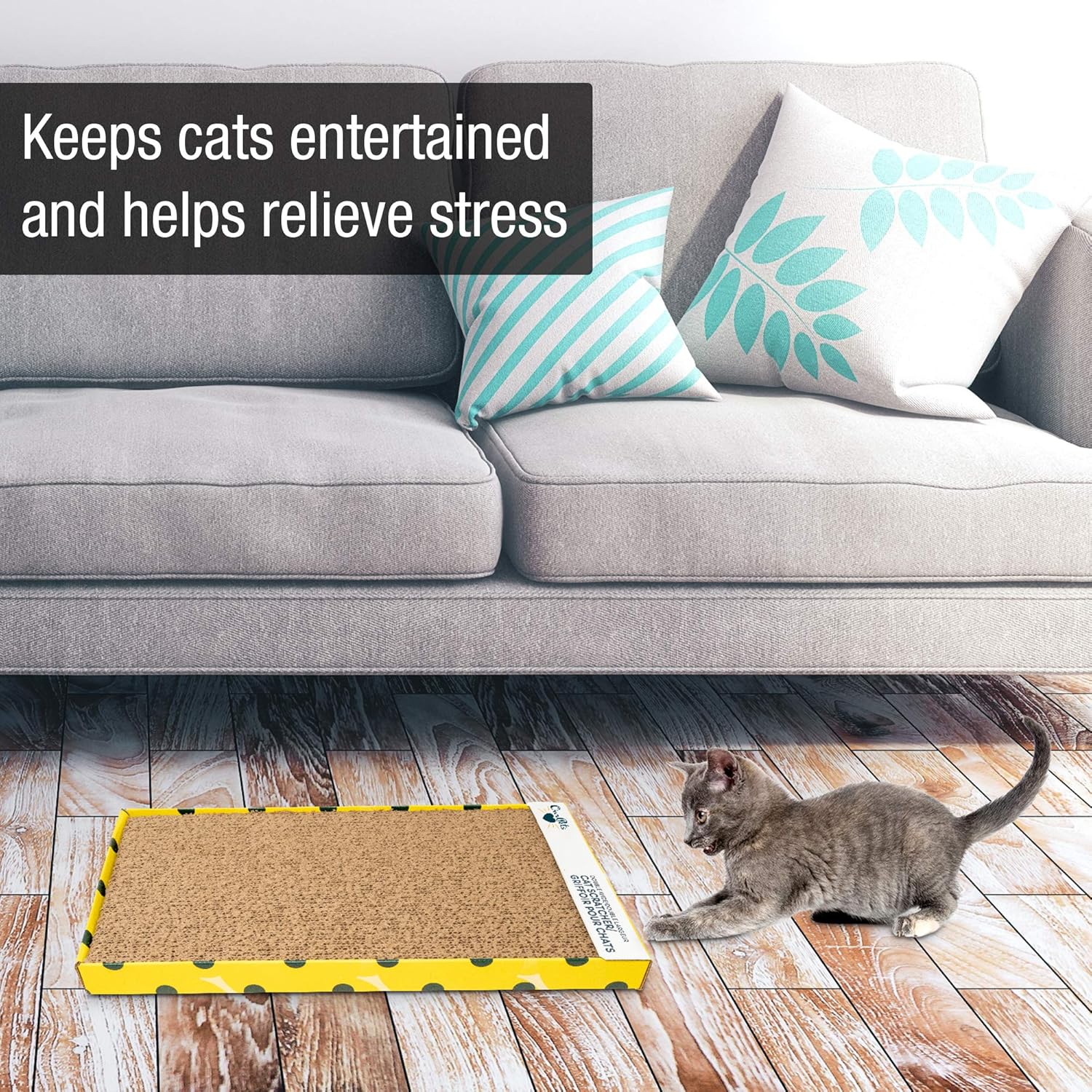 Cosmic OurPets Far and Wide Cat Scratcher Cat Toys (Cat Toys for Indoor Cats, Catnip Toys, Cat Gifts & Cat Toys Interactive) [Includes Cosmic Catnip-100% Premium North-American Grown] : Scratching Posts : Pet Supplies