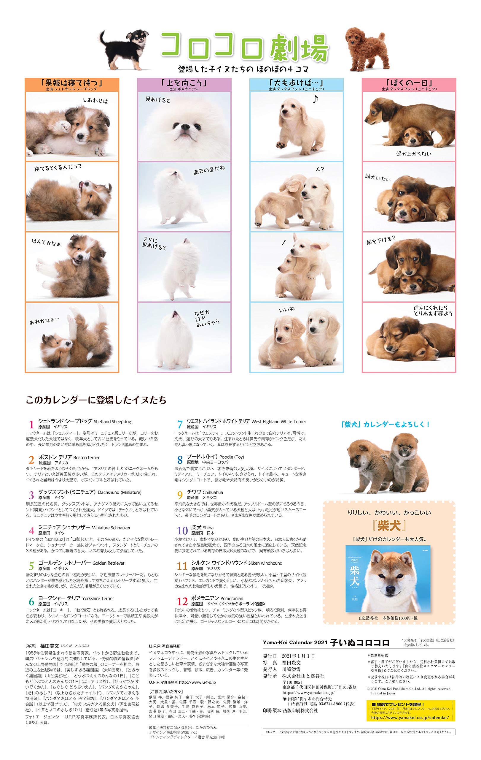 カレンダー21 子いぬコロコロ 月めくり 壁掛け ヤマケイカレンダー21 福田 豊文 本 通販 Amazon