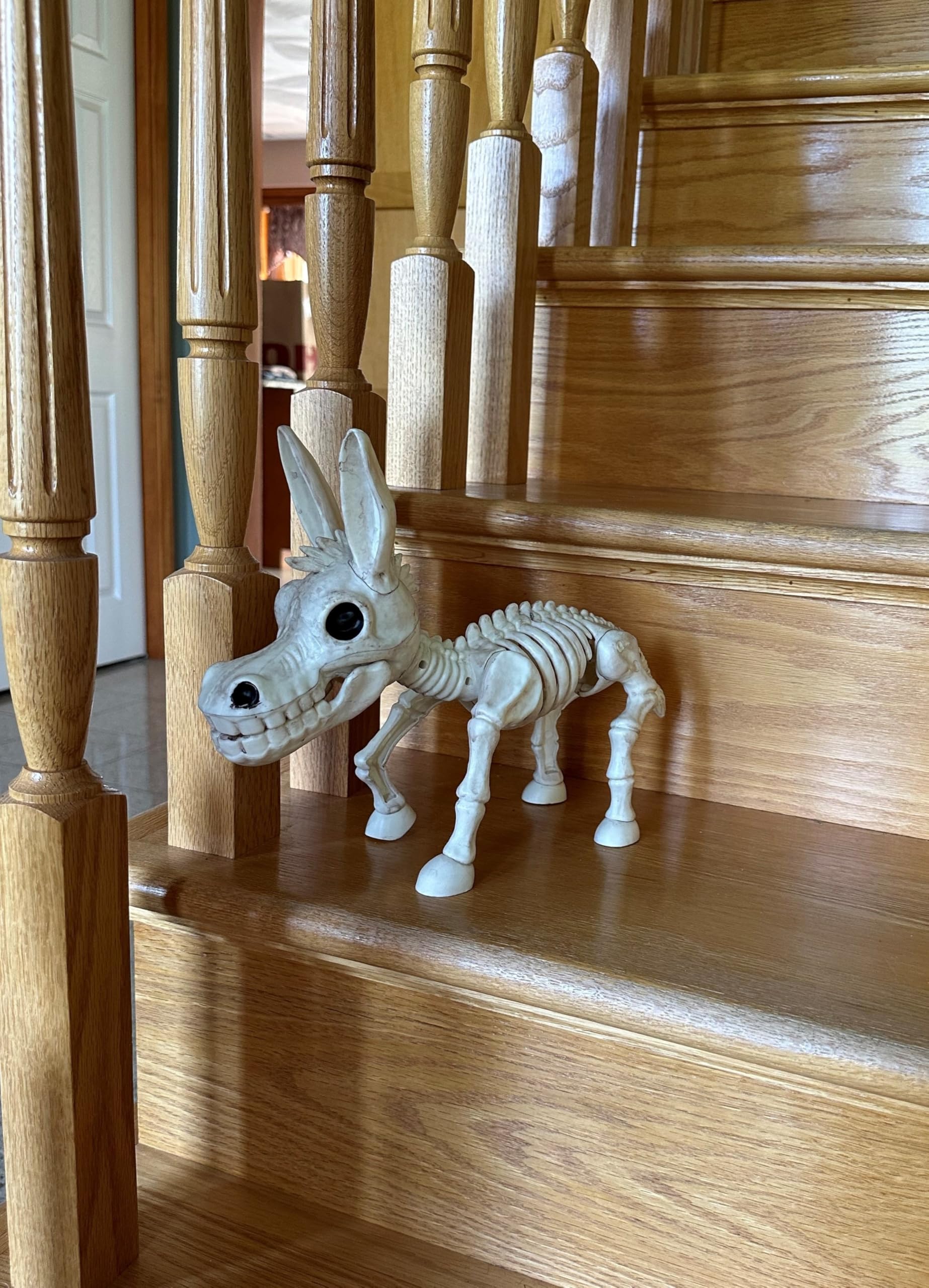 Crazy Bonez Skeleton Donkey