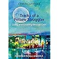 Tracks of a Fellow Struggler: Living and Growing through Grief