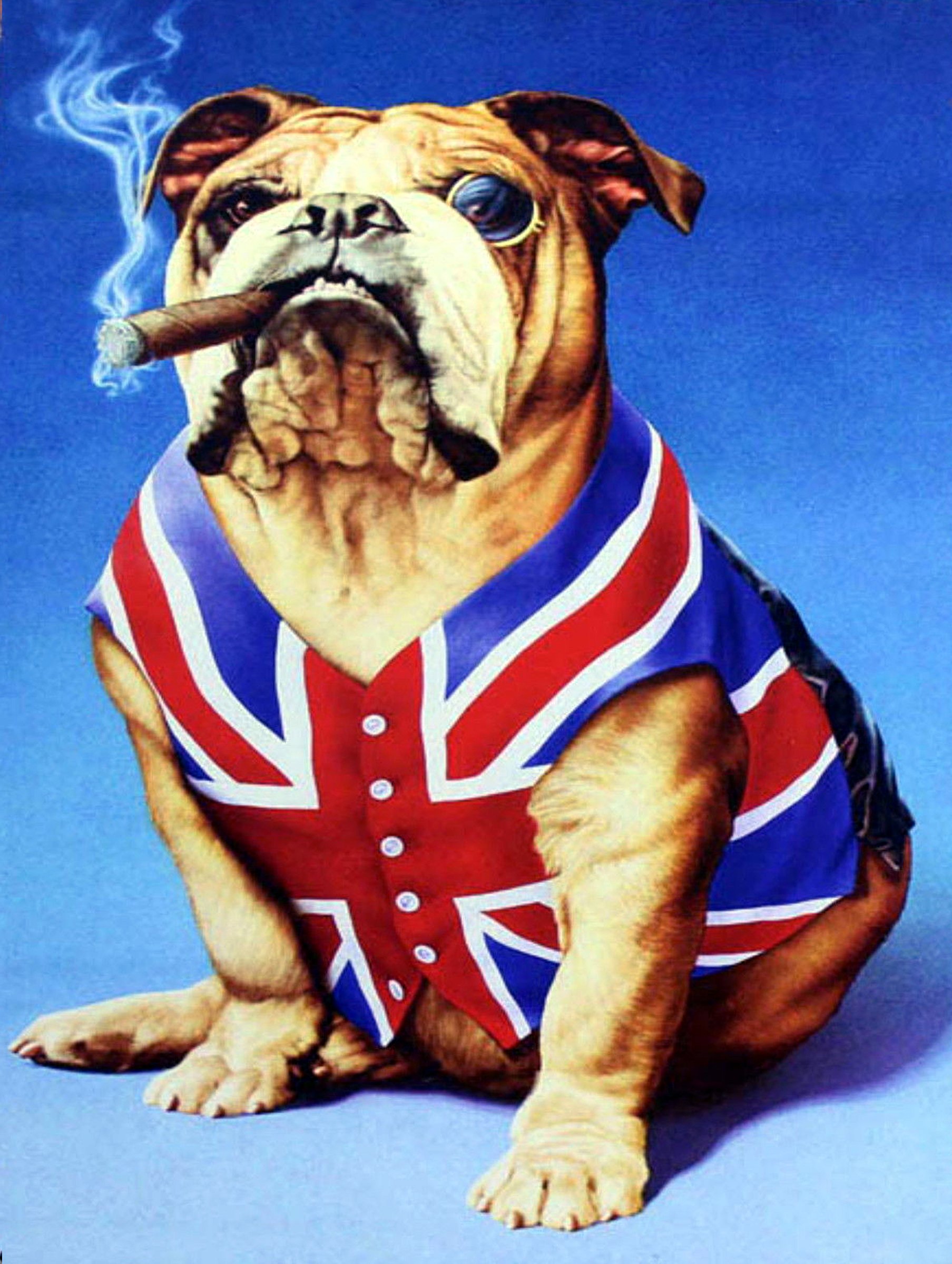 SHAWPRINT bulldog union jack british, Retro metal Aluminium Sign vintage bar pub man cave (267mm x 200mm (10" x 8"))