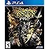 Dragon's Crown Pro: Standard Edition - PlayStation 4