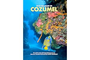 Into the heart of COZUMEL: An underwater photographic journey to Mexico's Yucatán Peninsula