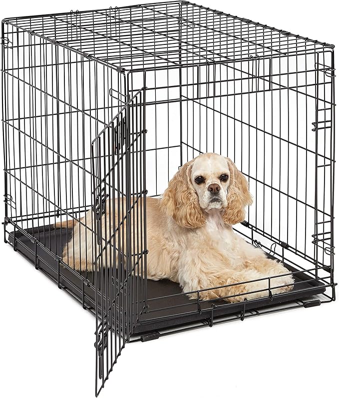Medium Dog Crate Midwest Life Stages 30" Folding Metal Dog Crate