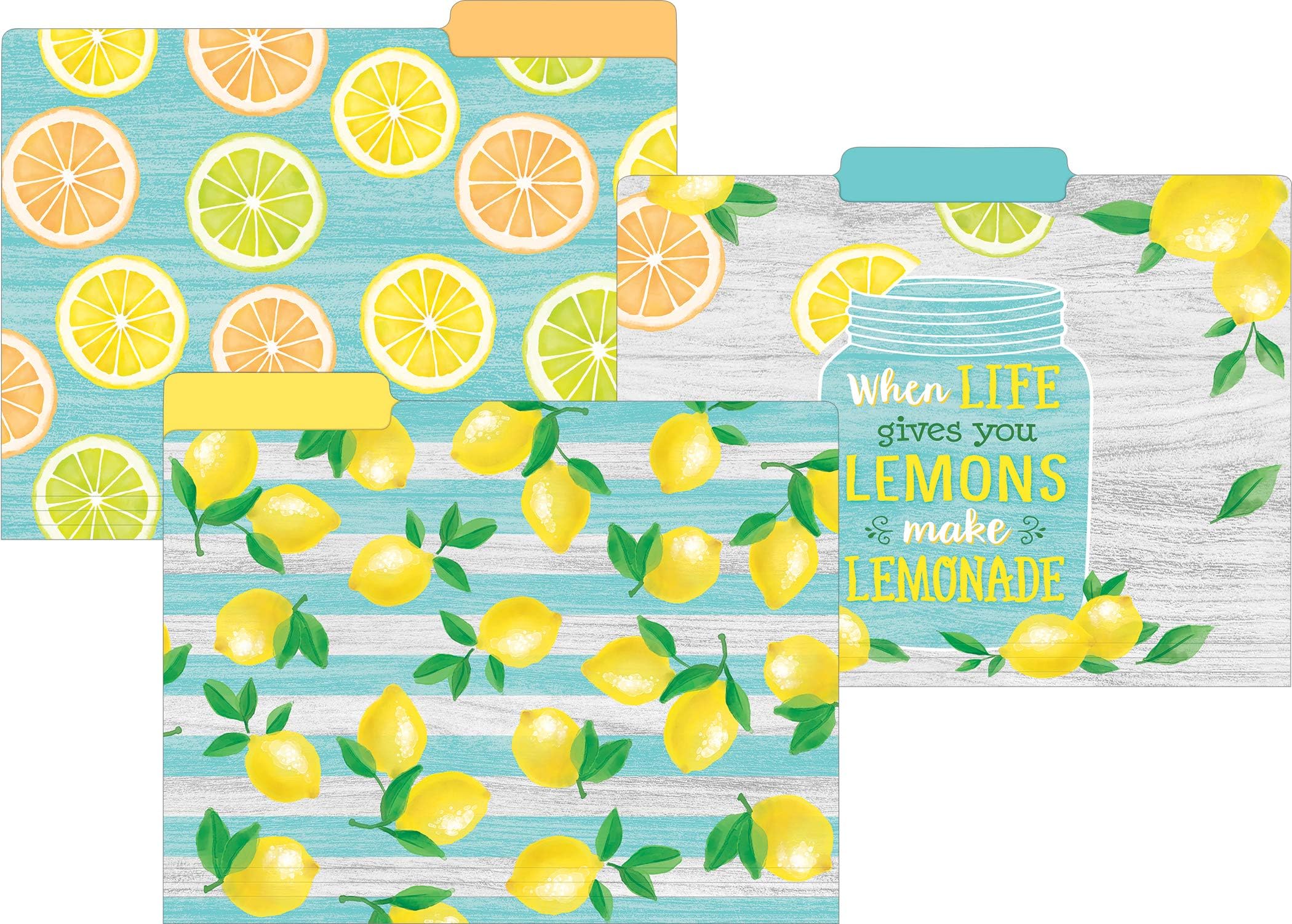 Teacher Created Resources Lemon Zest File Folders (TCR8542)