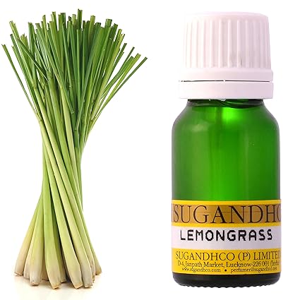 SUGANDHCO Lemongrass Essential Oil (10 ml)