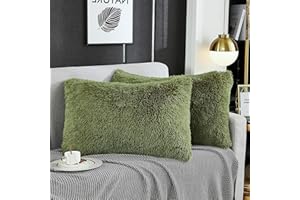 WERDIM Shaggy Fluffy Faux Fur Pillowcases 2 Pack Button Closure Velvet Pillow Shams Standard/Queen Size (Sage Green, 20 X 26 Inches)
