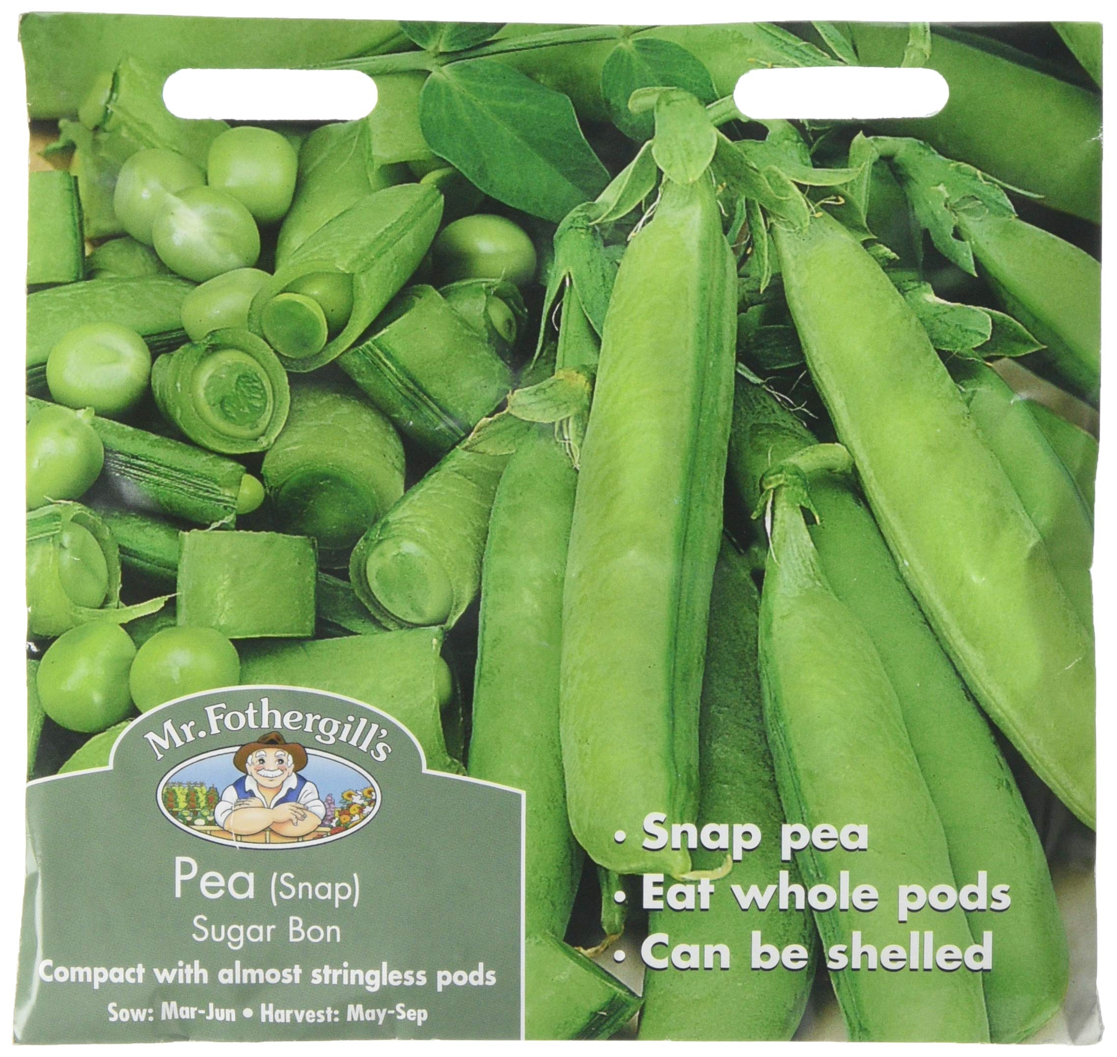 Mr Fothergill's Pea (Snap) Sugar Bon