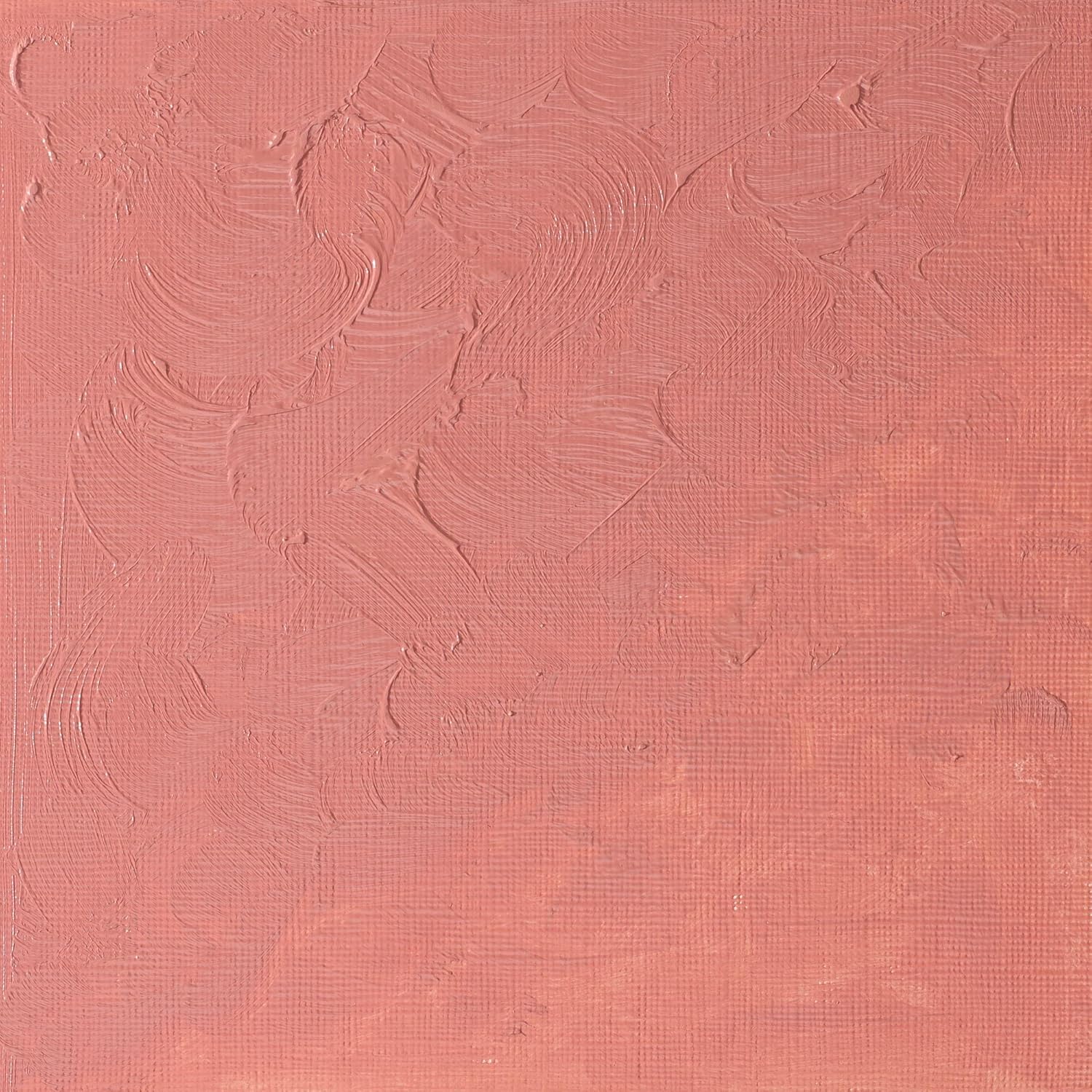 Winsor & Newton Winton 200ml Oil Colour - Blush Pale Rose,1437257, 200 ml (Pack of 1) - Image 3