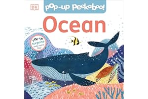Pop-Up Peekaboo! Ocean