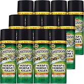 Spectracide Wasp &amp; Hornet Killer Aerosol Spray 18.5 Oz, 12 Pack | Kills Wasps, Hornets, Yellowjackets On Contact, Eliminates the Nest, Up To 27 Foot Jet Spray, For Outdoor Use, Non-Staining