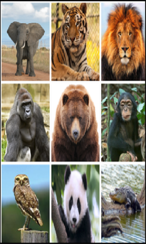 Amazon.com: Zoo Animal Sounds : Apps & Games