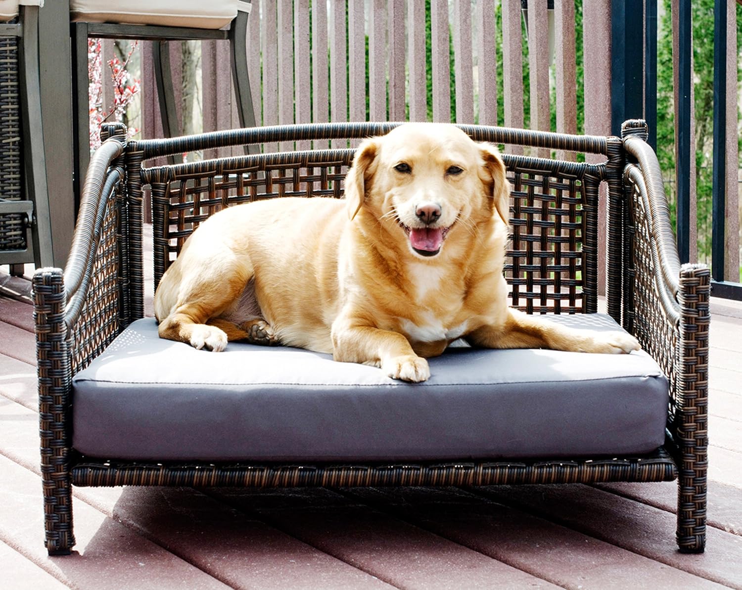 Maharaja Rattan Pet Day Bed, Indoor/Outdoor : Pet Supplies