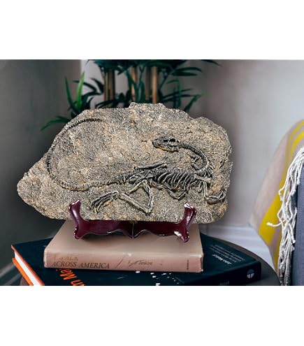 TheCostumeBase Croix De Coronado Indiana Jones - Props Décoration Murale Avec Chaîne