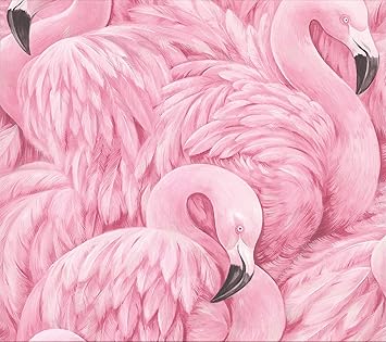 Amazon Com Advantage 2814 Horace Pink Flamingos Wallpaper Home Improvement