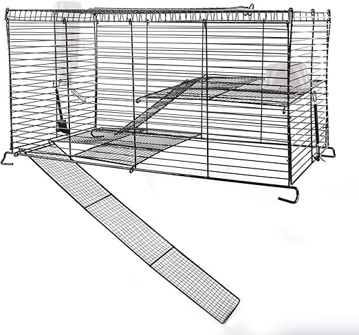 cat proof gerbil cage